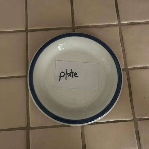 plate