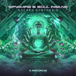 Sacred Synthesis (feat. Soul Insane)