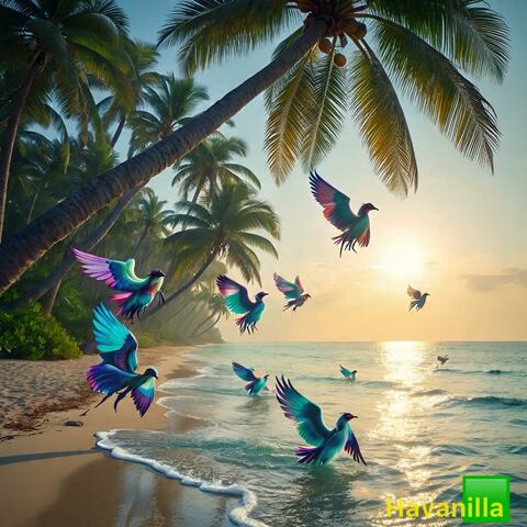 Havanilla