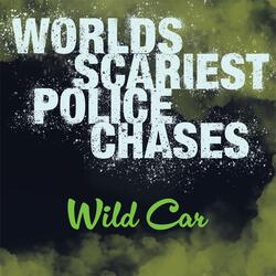 Wild Car