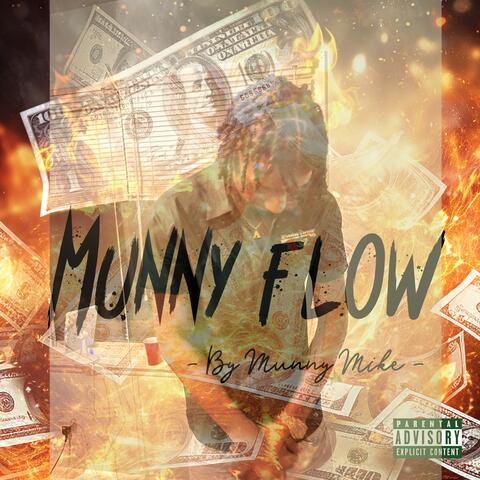 Munny Flow