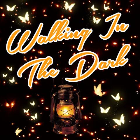Walking In The Dark