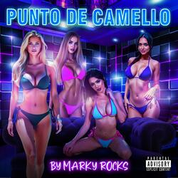 PUNTO DE CAMELLO