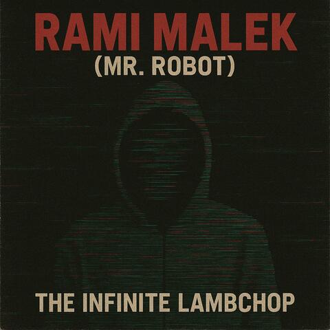Rami Malek (Mr. Robot)