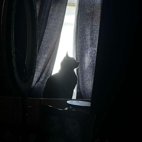 dangerous