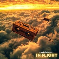 IN FLIGHT