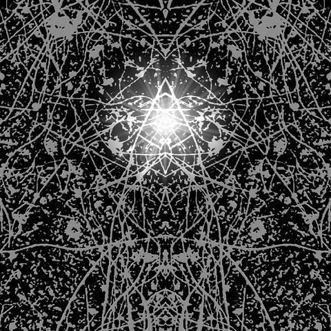 El Último Paso a la Luz