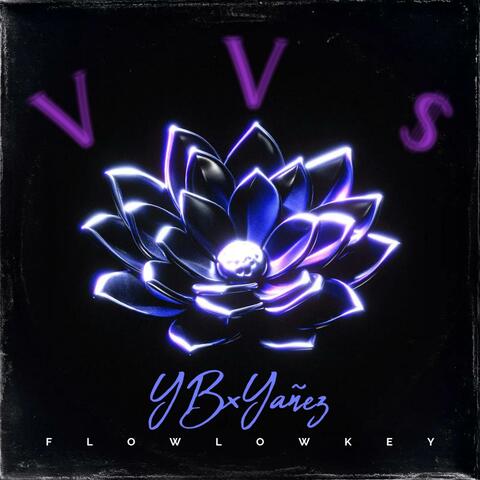 Vv$ (feat. YAÑEZ)