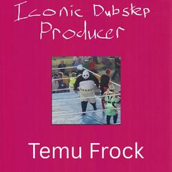 Temu Frock