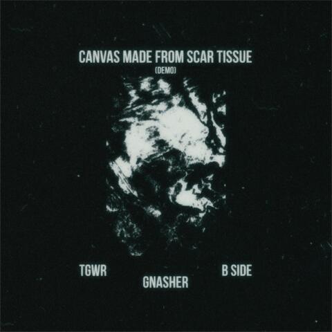 Canvas Made From Scar Tissue (Demo)