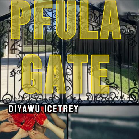 Pfula gate