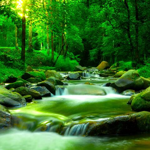 Echoes of Nature (Nature Sounds)