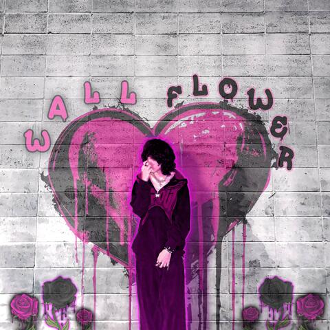 Wall Flower