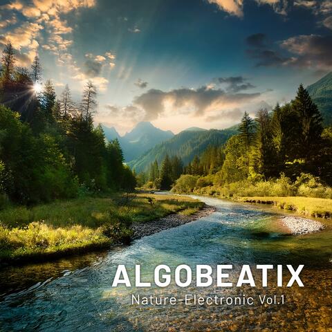 Nature-Electronic, Vol. 1