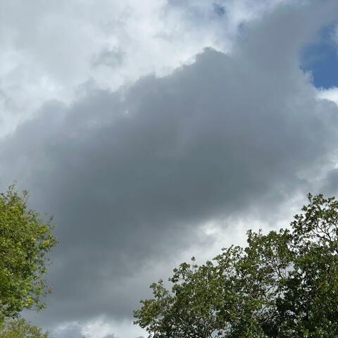 Dark Cloud (feat. Micky)
