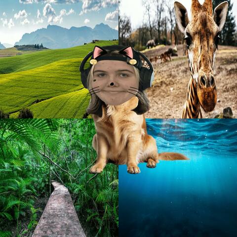 Animals