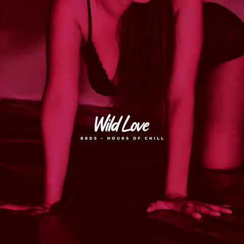 Wild Love (Sexy Jazzy Lo-fi Beat)