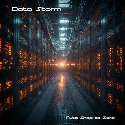 Data Storm