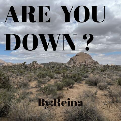 Are You Down? (feat. ProdBy:8xDetroit)