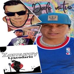 Dale Vatio