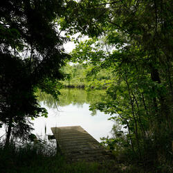 unikhodima ⁂ ambient focus drift