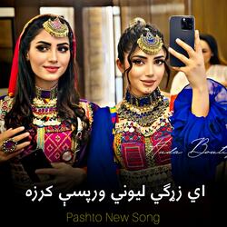 اي زړګي ليوني ورپسې کرزه | Pashto New Song gazal || پښتو ټپي