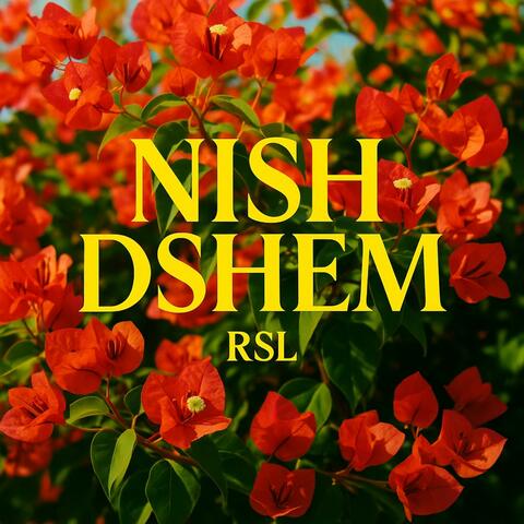NISH DSHEM
