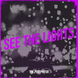 See The Lights