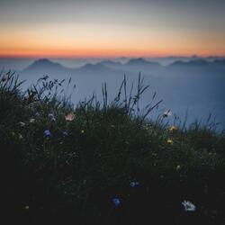 boulevard of broken dreams ∆ ambient cloud ver