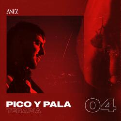 PICO Y PALA