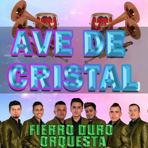 Ave de cristal