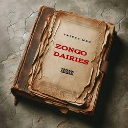 Zongo Dairies 1