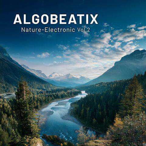 Nature-Electronic, Vol. 2