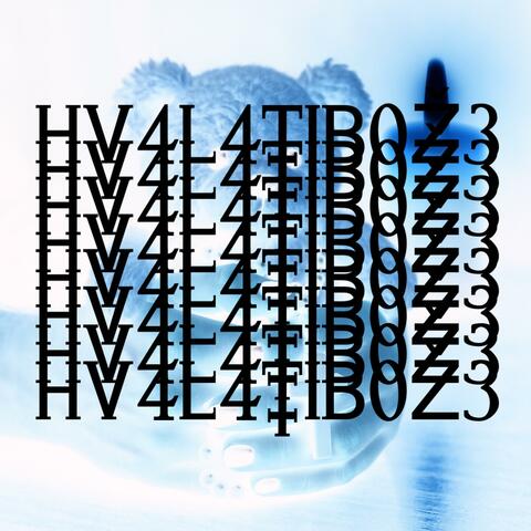 HV4L4T1B0Ž3!