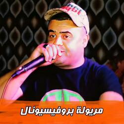 مريولة بروفيسيونال