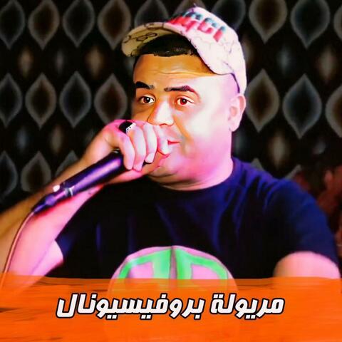 مريولة بروفيسيونال