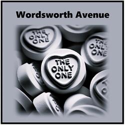 The Only One (Radio edit)