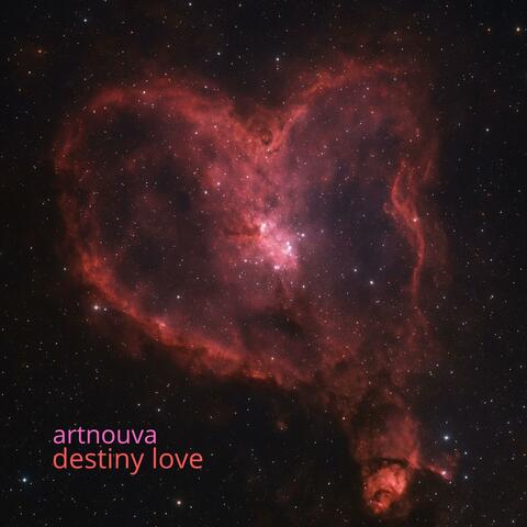 Destiny Love