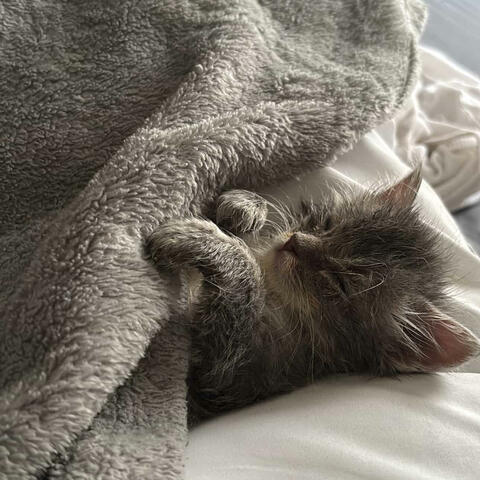 Ion wanna2 (feat. Luhzap)