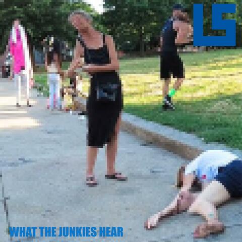 WHAT THE JUNKIES HEAR