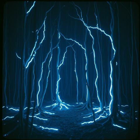 The Blood Boils – Blóðið Sjóðar