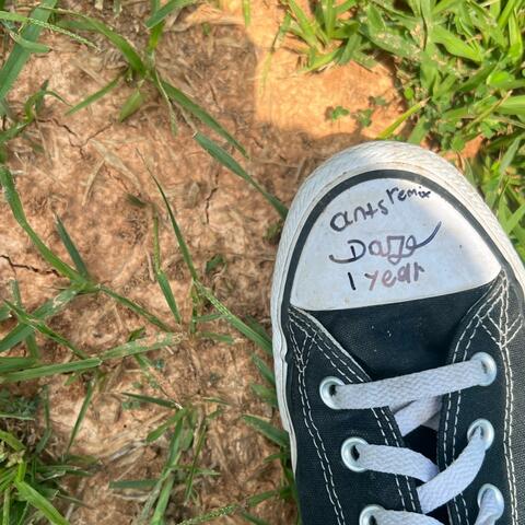 Ants (Remix)