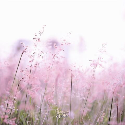 Heartstrings: An Instrumental Collection