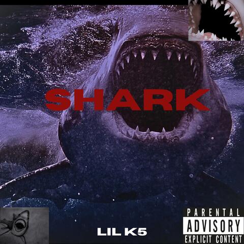 SHARK