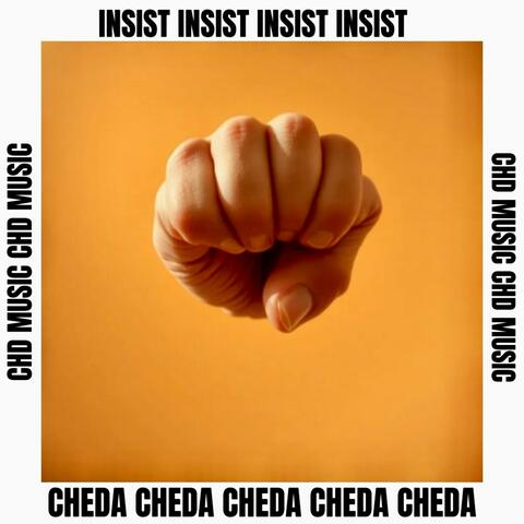 INSIST (Radio Edit)