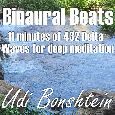 Meditating with 11 minutes of 432 Delta waves