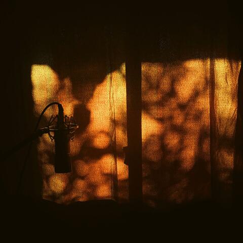 evening bus ride in vancouver