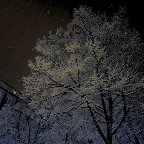Winter Flakes