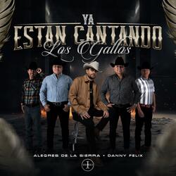 Ya Estan Cantando los Gallos