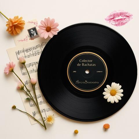 Colector de Bachatas